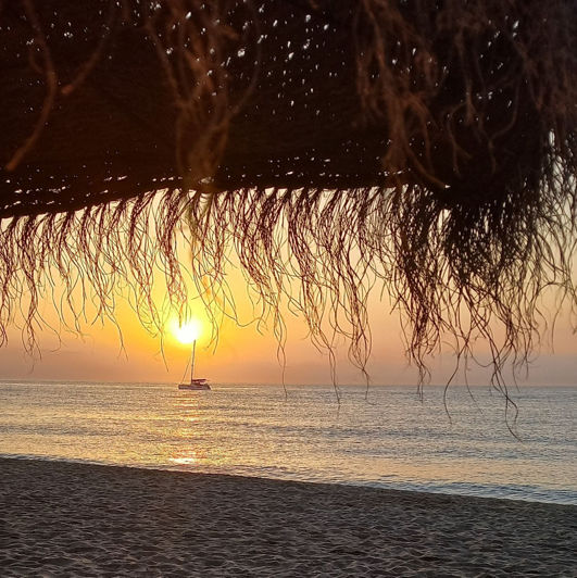 Image No.15-Propriété de 1 chambre à vendre à La Cala De Mijas