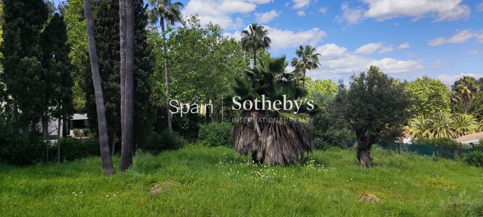 Image No.10-Terre à vendre à Sotogrande playa