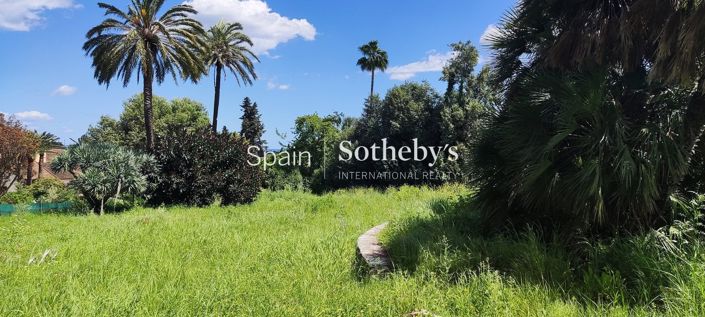 Image No.11-Terre à vendre à Sotogrande playa