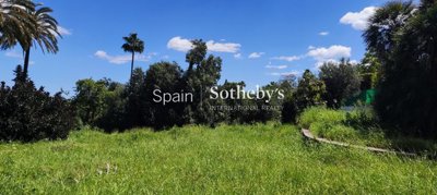 img31808681eb4610-422e-4f50-86a0-d7c278992f0d