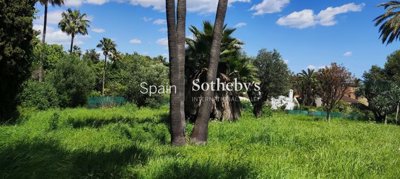 img318086788517fe-2304-42bb-b91a-4a730e6a21ab