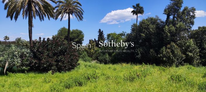 Image No.3-Terre à vendre à Sotogrande playa