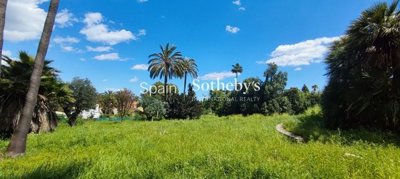 img318086b8aa6470-f4bd-4407-92a3-9584d2f6a23d