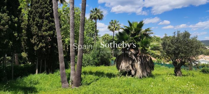 Image No.5-Terre à vendre à Sotogrande playa