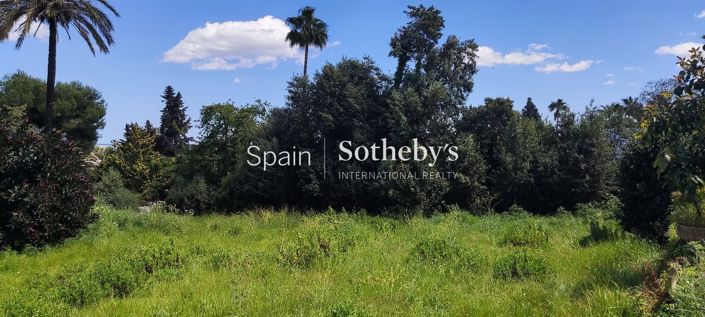 Image No.6-Terre à vendre à Sotogrande playa