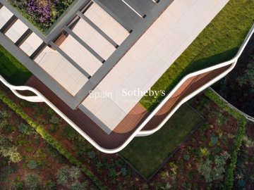 img3139600accbef0-6496-463c-bb26-34db630c44f3