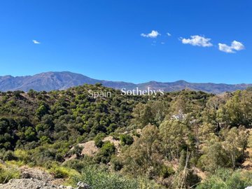 img3132723881d8b1-9257-458a-b6ef-59247fb3feea