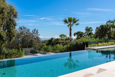 img3239538658b613-016c-4873-b631-eb7a12412446