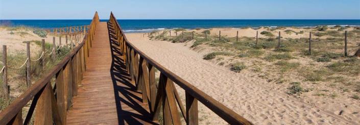 Image No.40-Villa de 3 chambres à vendre à Alicante