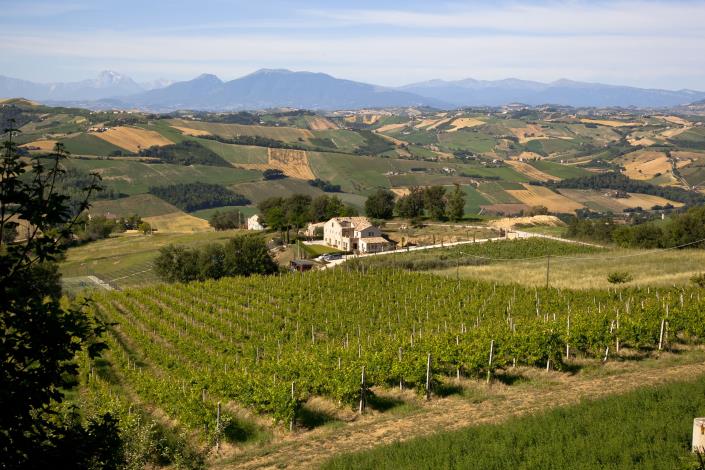 Image No.39-4 Bed Country House for sale