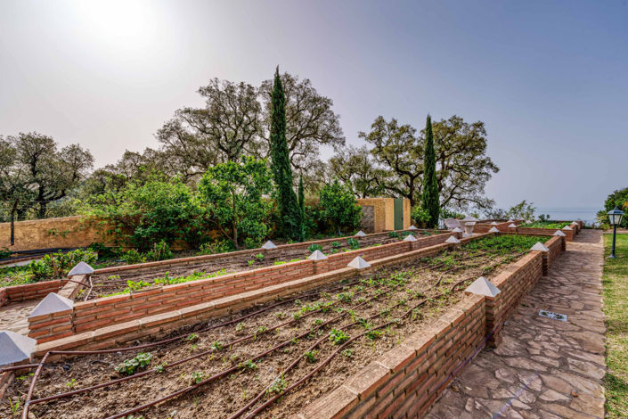 Image No.41-7 Bed Finca for sale