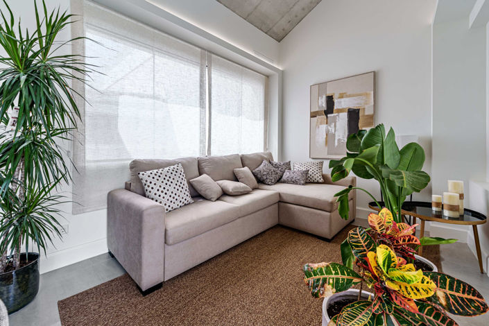 Image No.12-1 Bed Penthouse for sale