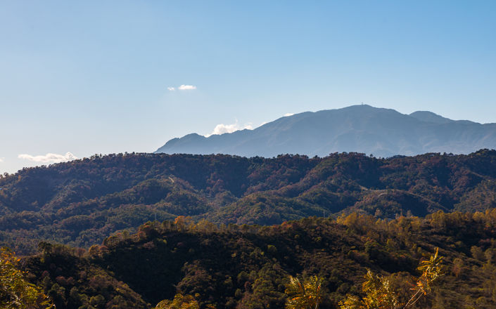 Image No.35-4 Bed Penthouse for sale