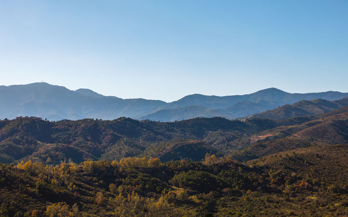 Image No.39-4 Bed Penthouse for sale