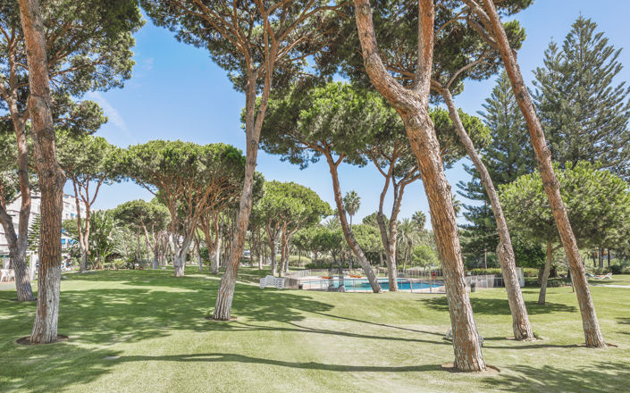 Image No.20-3 Bed Apartment for sale