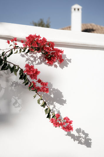 Image No.9-2 Bed Townhouse for sale