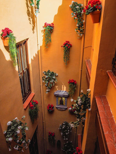 Image No.17-3 Bed Apartment for sale