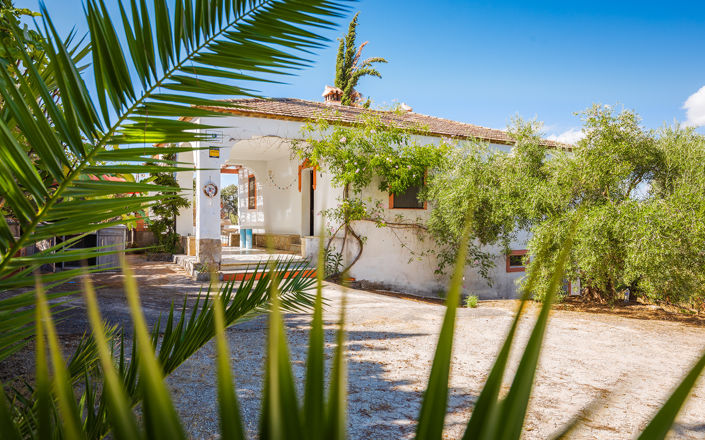 Image No.19-4 Bed Finca for sale