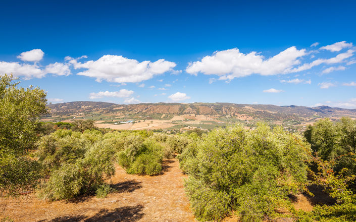 Image No.23-4 Bed Finca for sale