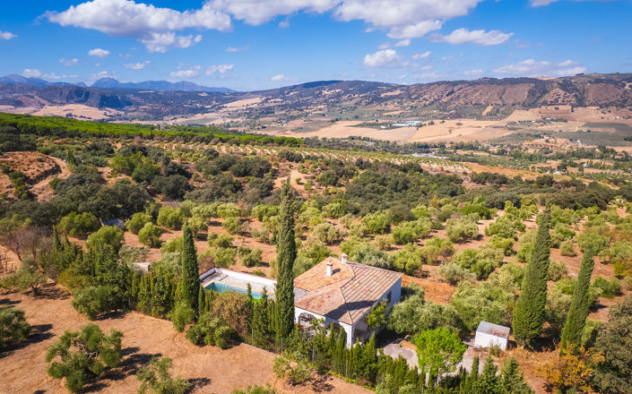 Image No.24-4 Bed Finca for sale