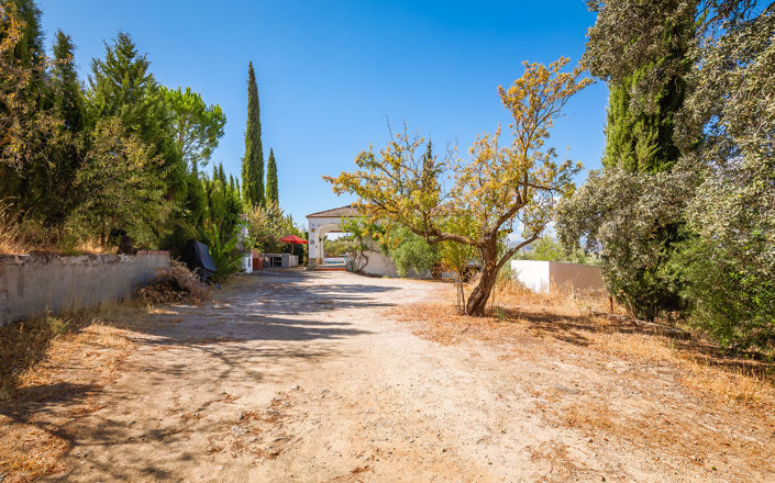 Image No.26-4 Bed Finca for sale