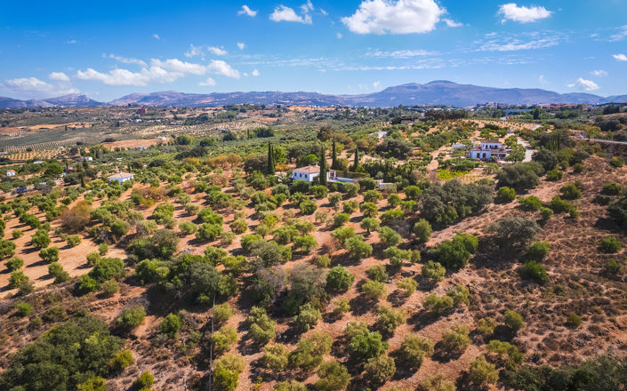 Image No.28-4 Bed Finca for sale