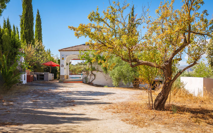 Image No.29-4 Bed Finca for sale