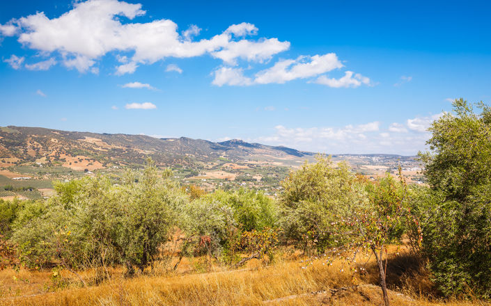 Image No.31-4 Bed Finca for sale