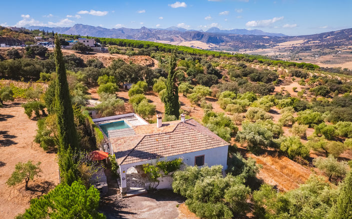 Image No.33-4 Bed Finca for sale