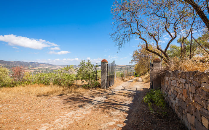 Image No.35-4 Bed Finca for sale