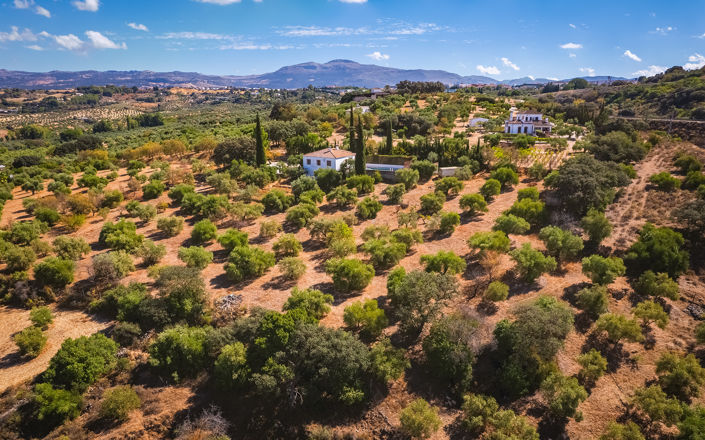 Image No.37-4 Bed Finca for sale