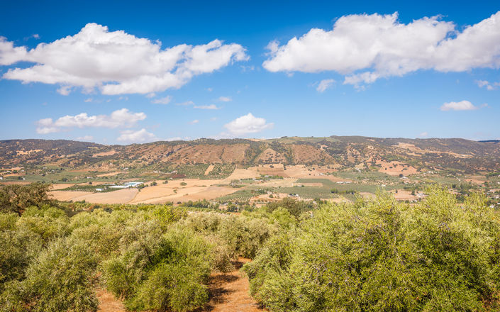 Image No.38-4 Bed Finca for sale