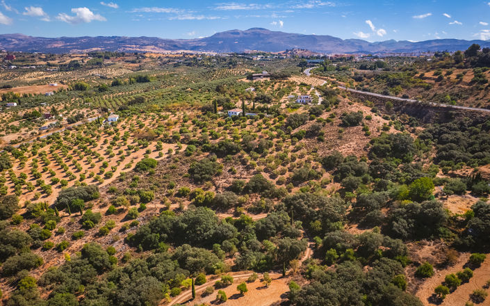 Image No.39-4 Bed Finca for sale