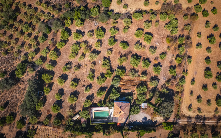 Image No.40-4 Bed Finca for sale