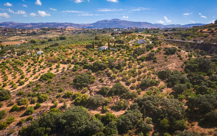 Image No.41-4 Bed Finca for sale