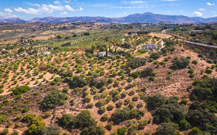 Image No.43-4 Bed Finca for sale