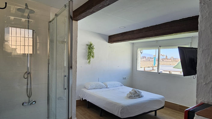 Image No.22-Un hôtel à vendre à Málaga City