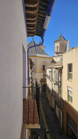 Image No.49-Un hôtel à vendre à Málaga City