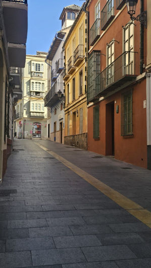 Image No.50-Un hôtel à vendre à Málaga City