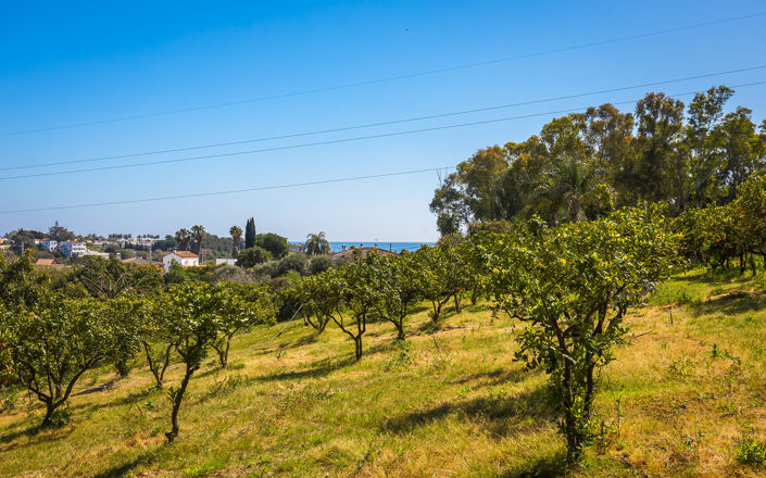 Image No.25-Finca de 4 chambres à vendre à Estepona