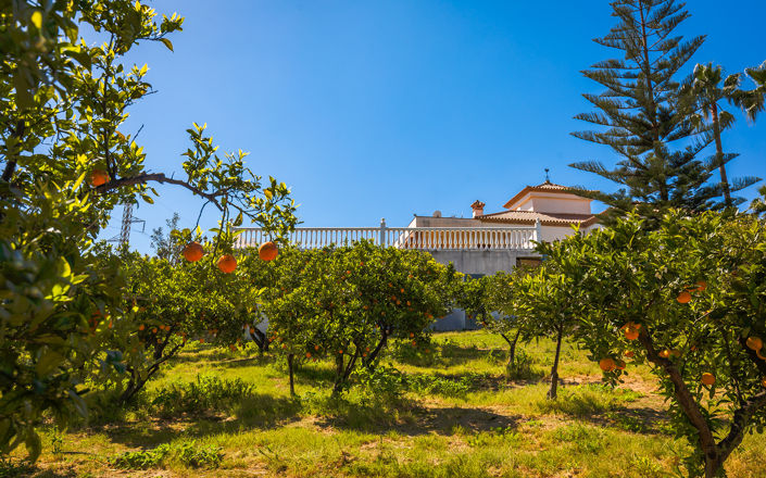 Image No.27-Finca de 4 chambres à vendre à Estepona