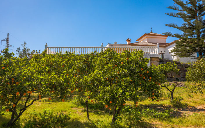 Image No.35-Finca de 4 chambres à vendre à Estepona