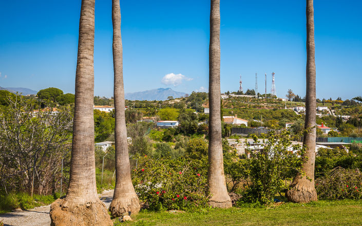 Image No.36-Finca de 4 chambres à vendre à Estepona