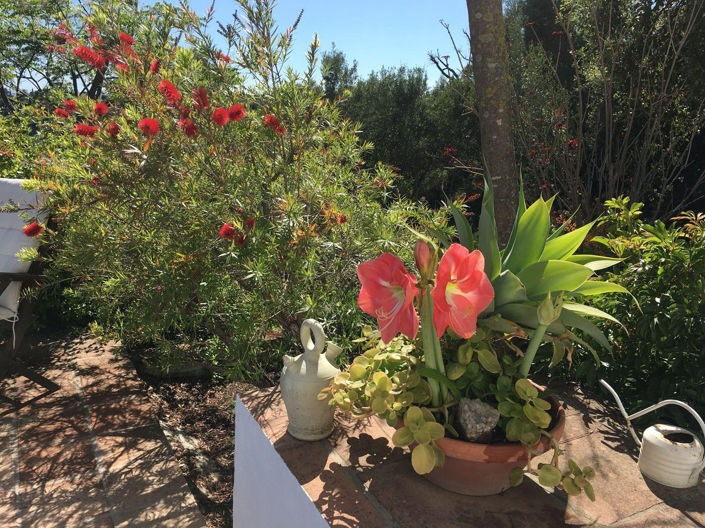 Image No.25-3 Bed Cortijo for sale