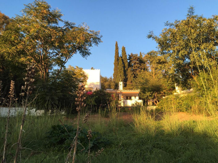 Image No.26-3 Bed Cortijo for sale