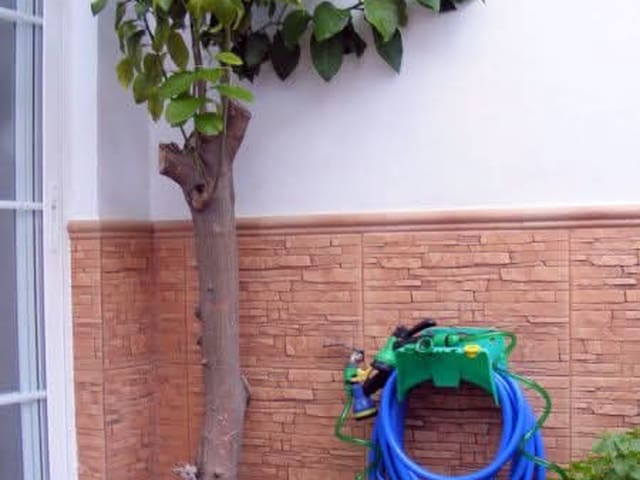 Image No.5-3 Bed Townhouse for sale