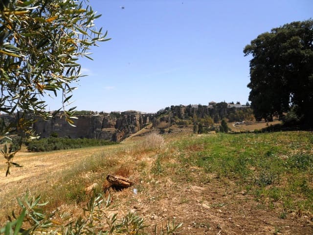 Image No.3-1 Bed Country House for sale