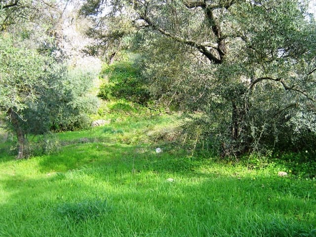 Image No.8-1 Bed Country House for sale