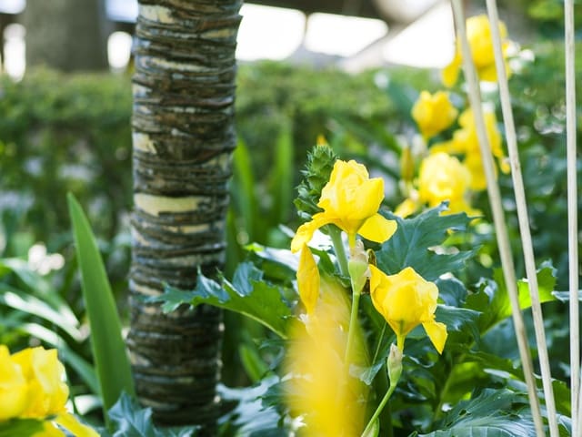 Image No.4-11 Bed Hotel for sale