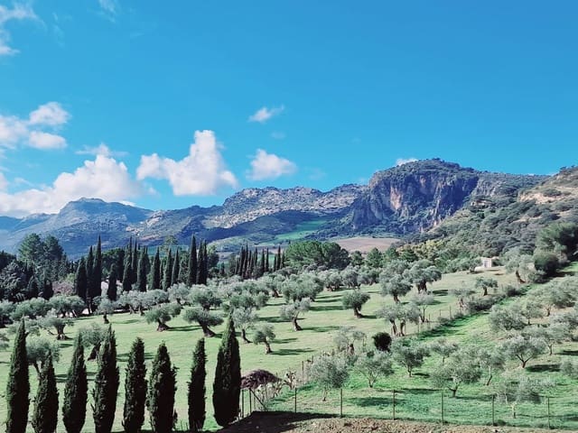 Image No.4-8 Bed Villa for sale